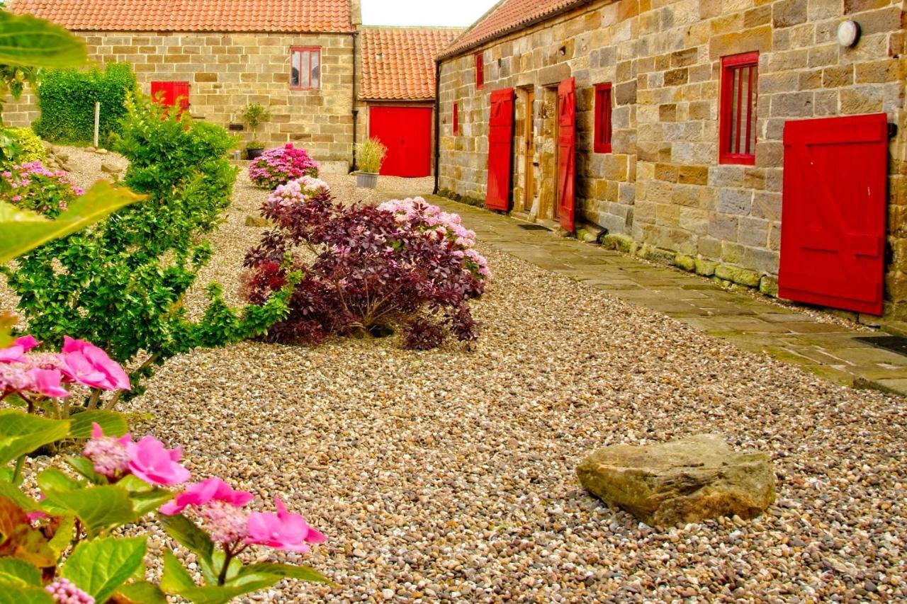 Sebright Cottage, Borrowby Farm Cottages Staithes Eksteriør bilde