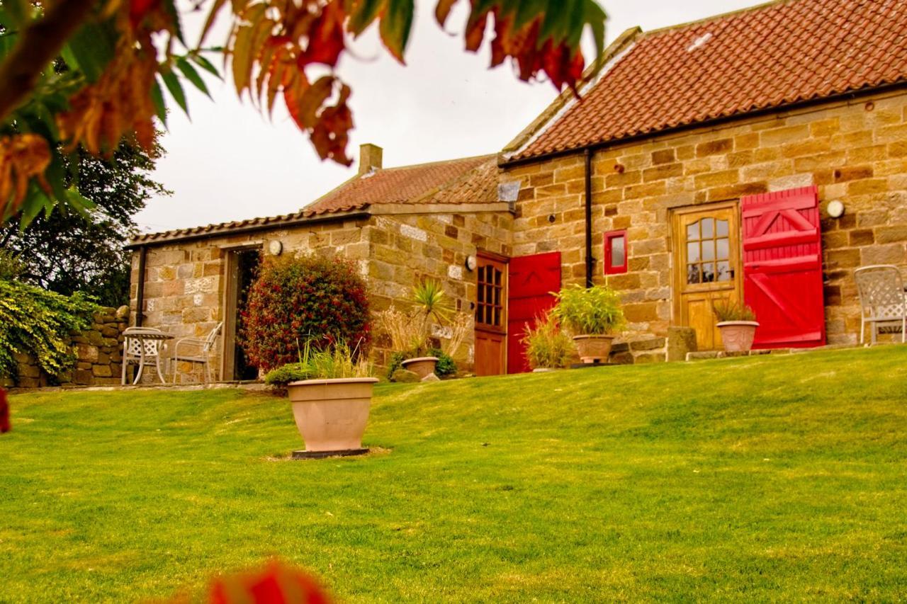 Sebright Cottage, Borrowby Farm Cottages Staithes Eksteriør bilde